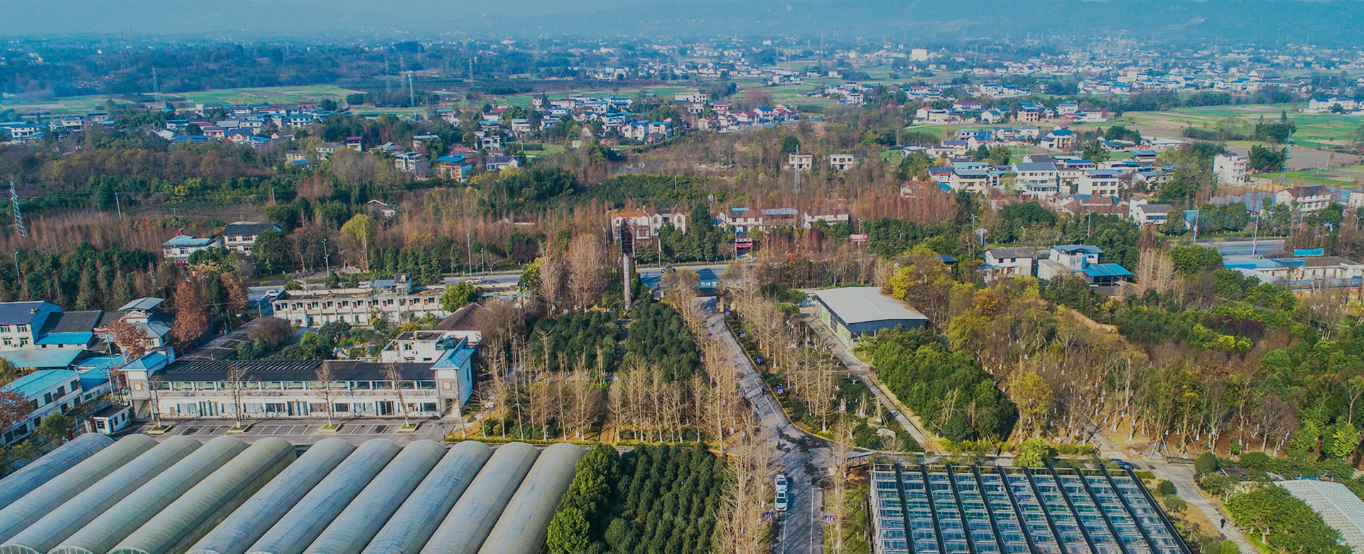 蔬菜品種育苗、示范推廣、基地種植、農(nóng)產(chǎn)品生產(chǎn)、加工 、銷(xiāo)售